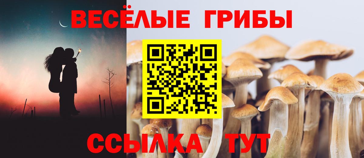 Котлас  Галлюциногенные грибы ЛСД  Галлюциногенные грибы ЛСД  Вход с VPN 